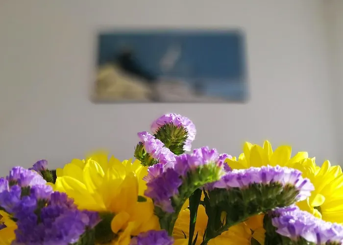 Verdemar With Sea View And Garden