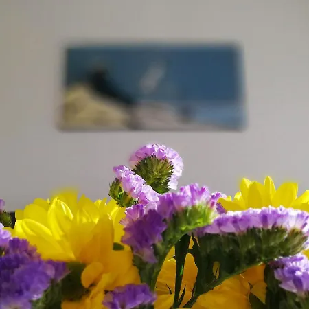 Verdemar With Sea View And Garden